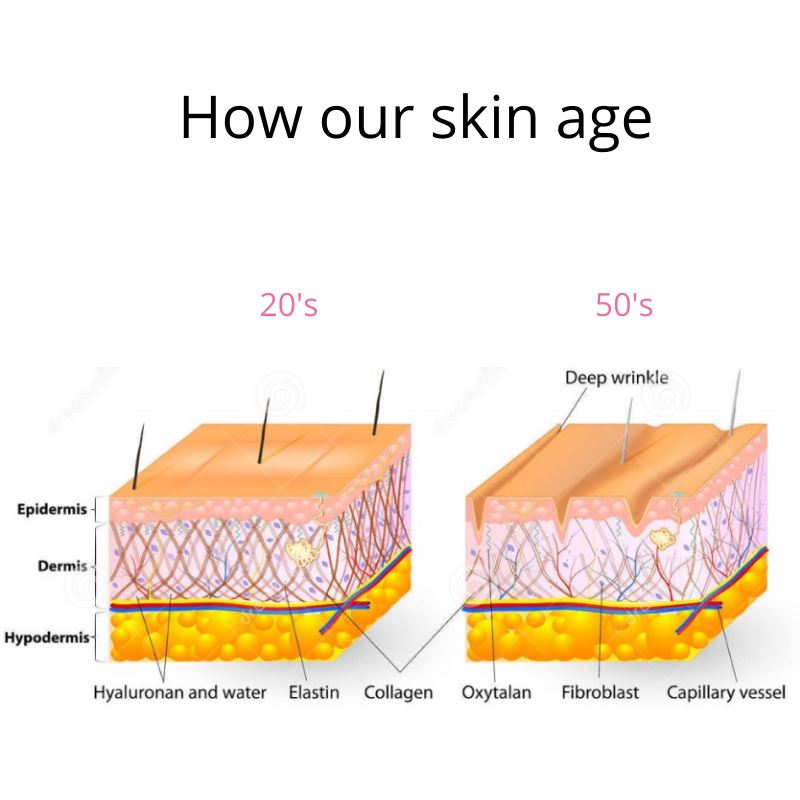 When Is The Best Time to Start Using a Anti-Ageing Cream According to Dermatologists?