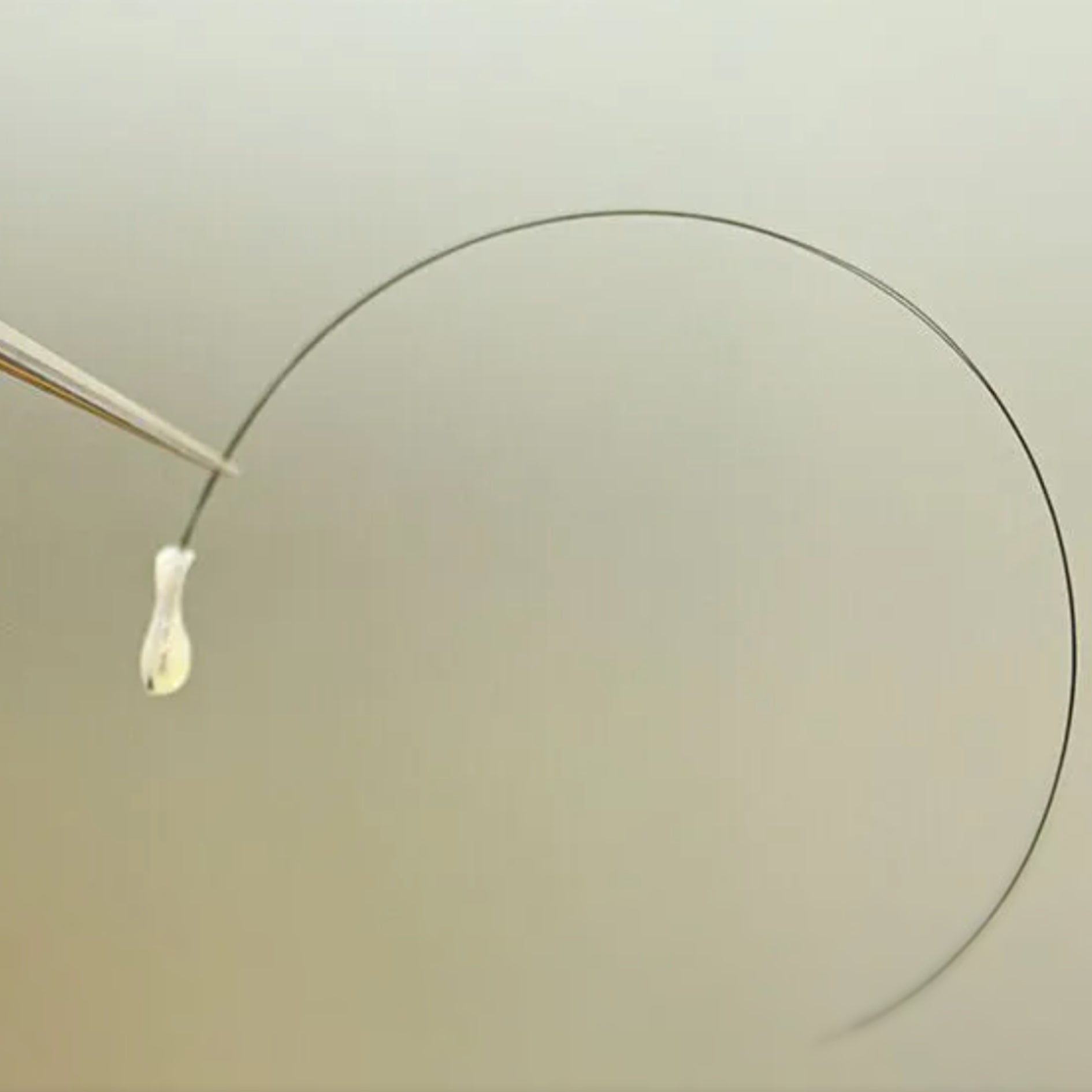 why is my hair shedding?