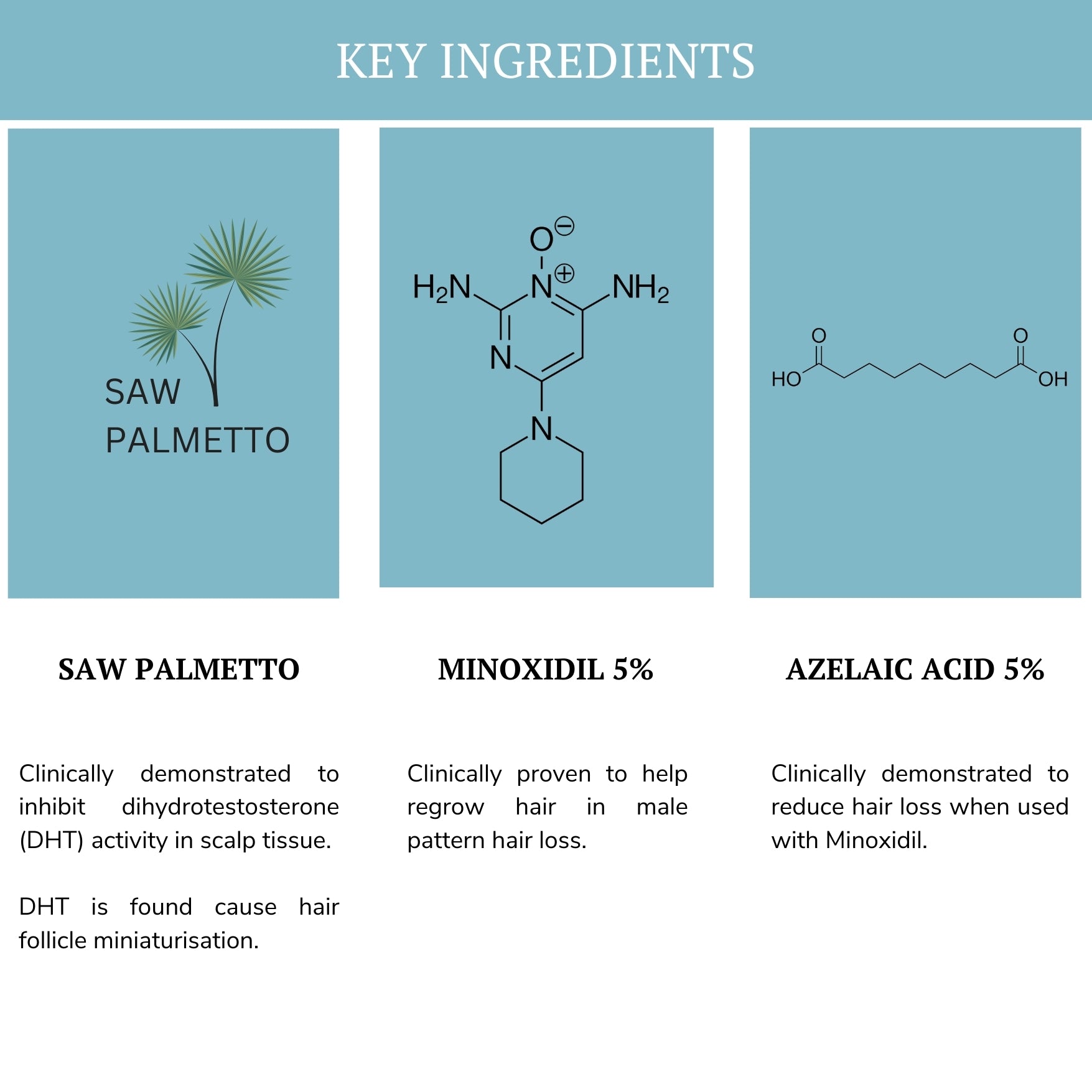 Minoxidil 5% Azelaic Acid 5% Saw Palmetto (alcohol-free) 60ml